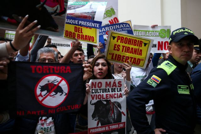 Activists protest against bullfighting during a debate at the Colombian congress in Bogota