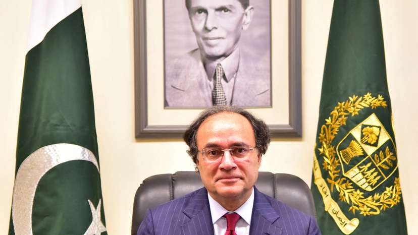 Pakistani Finance Minister Muhammad Aurangzaib, poses after taking oath in Islamabad