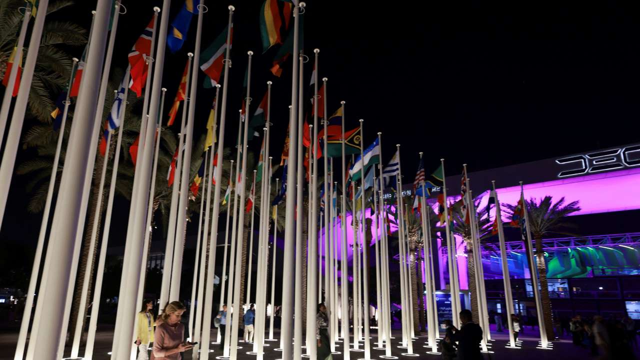 People stand near the flags at Dubai's Expo City during the United Nations Climate Change Conference (COP28) in Dubai