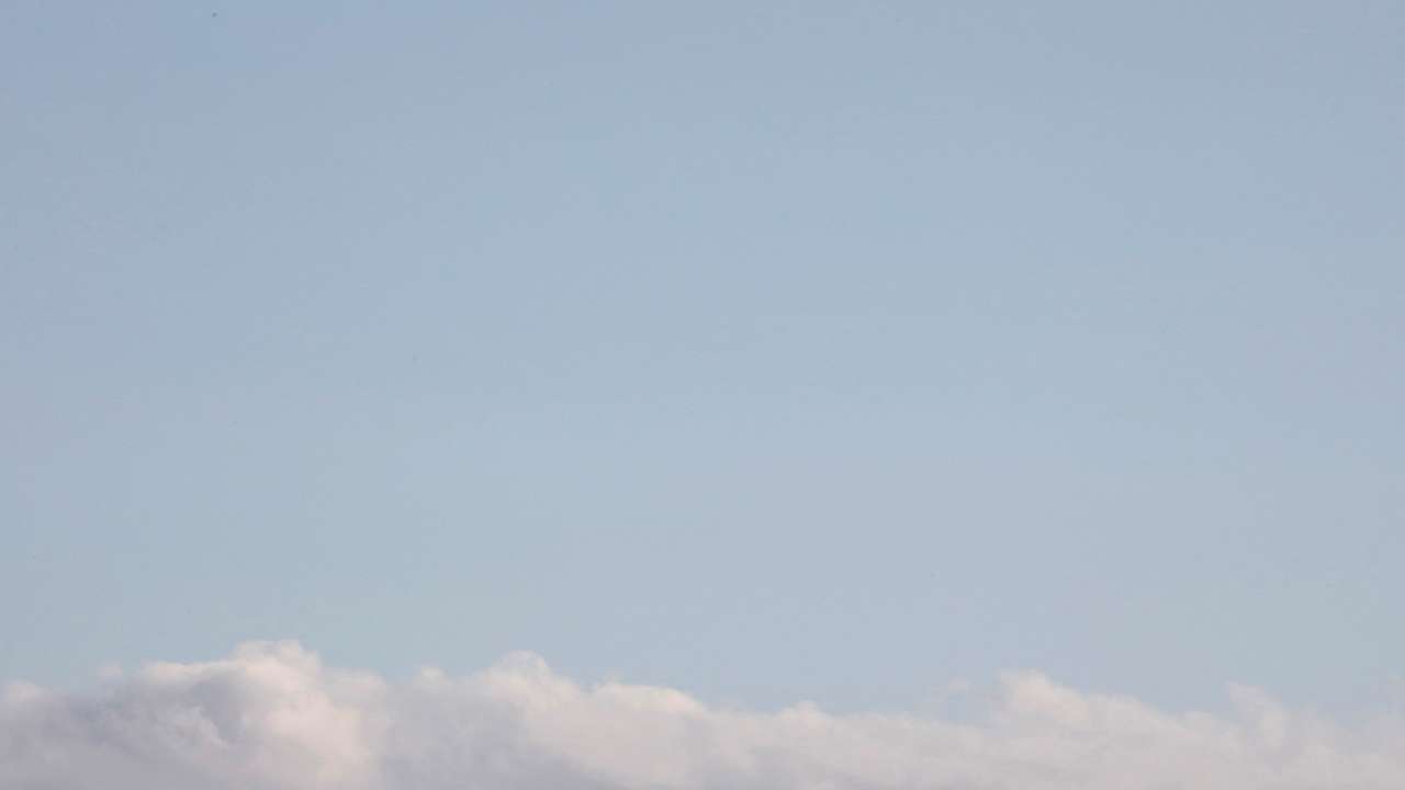 FILE PHOTO: An elephant walks through the Maasai Mara National Reserve