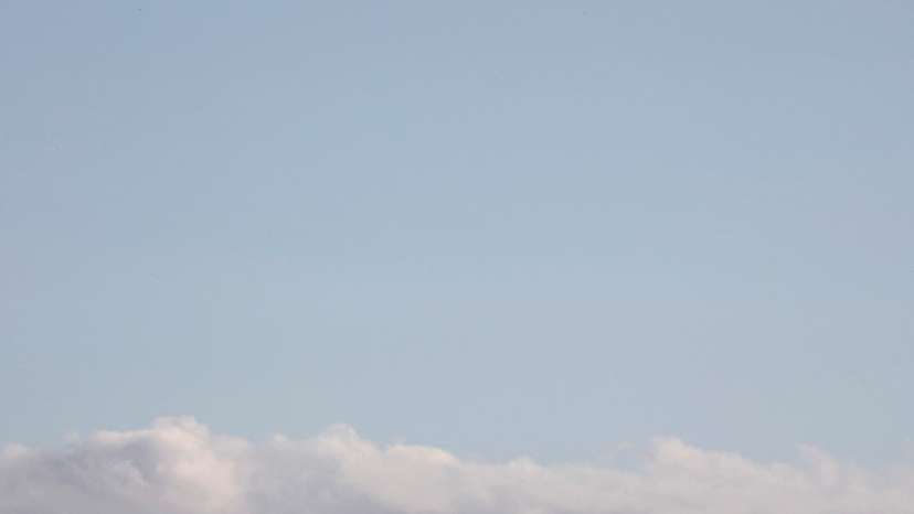 FILE PHOTO: An elephant walks through the Maasai Mara National Reserve