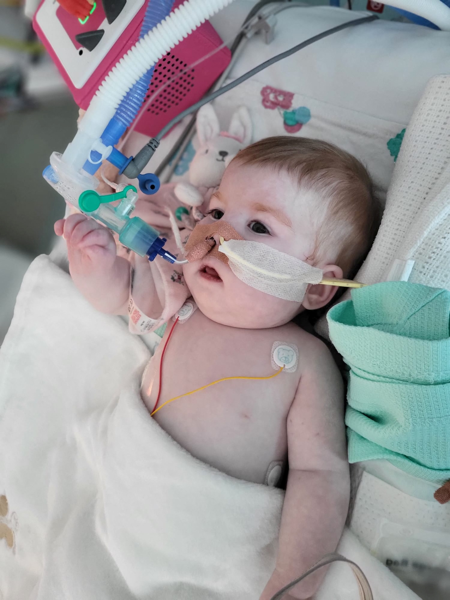 Indi Gregory, who suffers from a rare mitochondrial disease, looks on in this undated handout photo