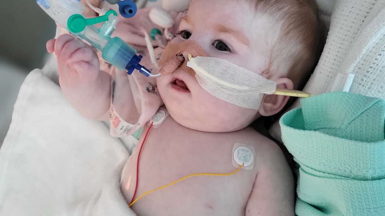 Indi Gregory, who suffers from a rare mitochondrial disease, looks on in this undated handout photo