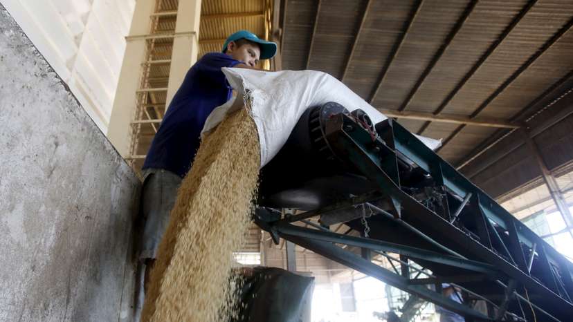 A man works at a rice processing factory in Vietnam's southern Mekong delta city of Can Tho