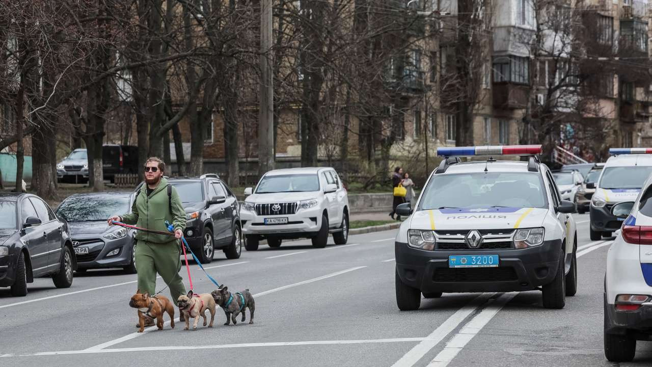 A local resident walks with his dogs near the site of a Russian missile strike in Kyiv