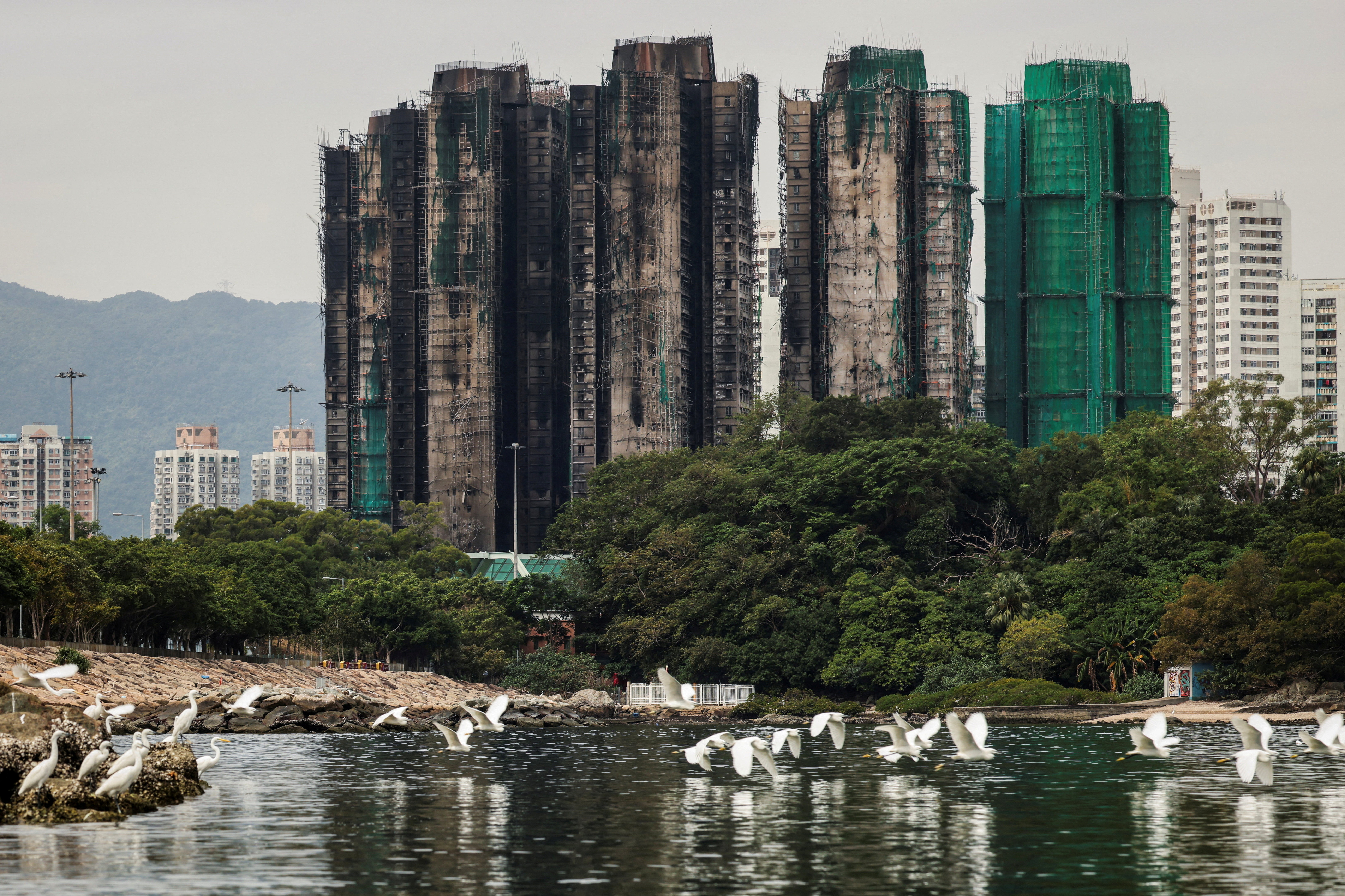 FILE PHOTO: A flock of egrets fly next to burned buildings of the Wang Fuk Court housing complex in Hong Kong