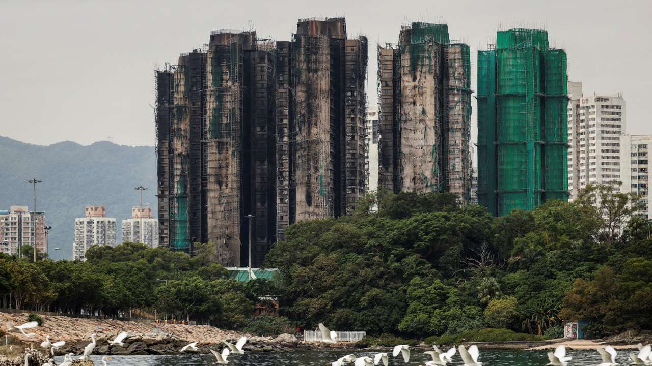 FILE PHOTO: A flock of egrets fly next to burned buildings of the Wang Fuk Court housing complex in Hong Kong