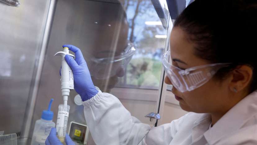 FILE PHOTO: Brazil boosts bird flu defense to protect world's top chicken industry, in Campinas