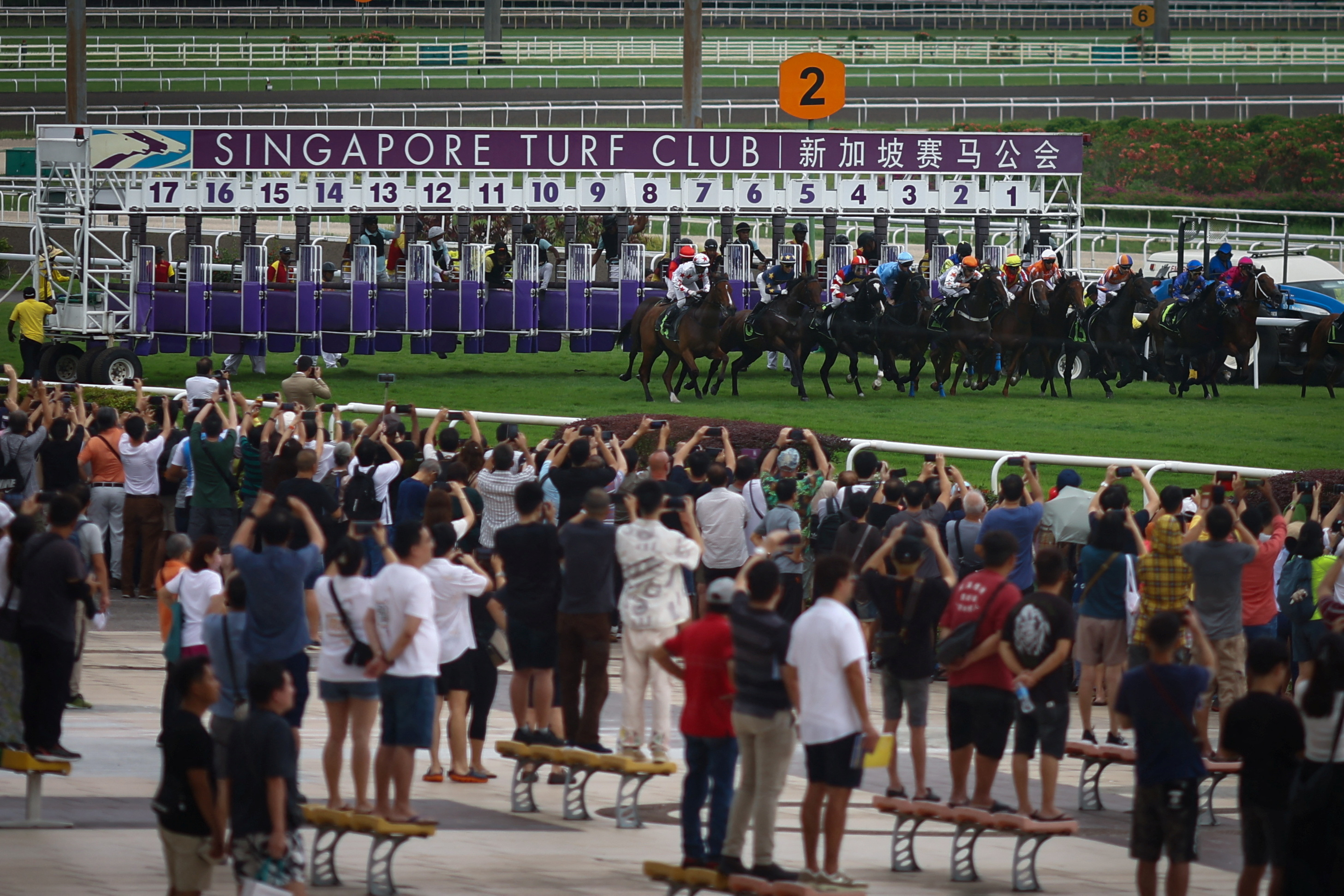 Thousands watch Singapore's last horse race, after 181 years