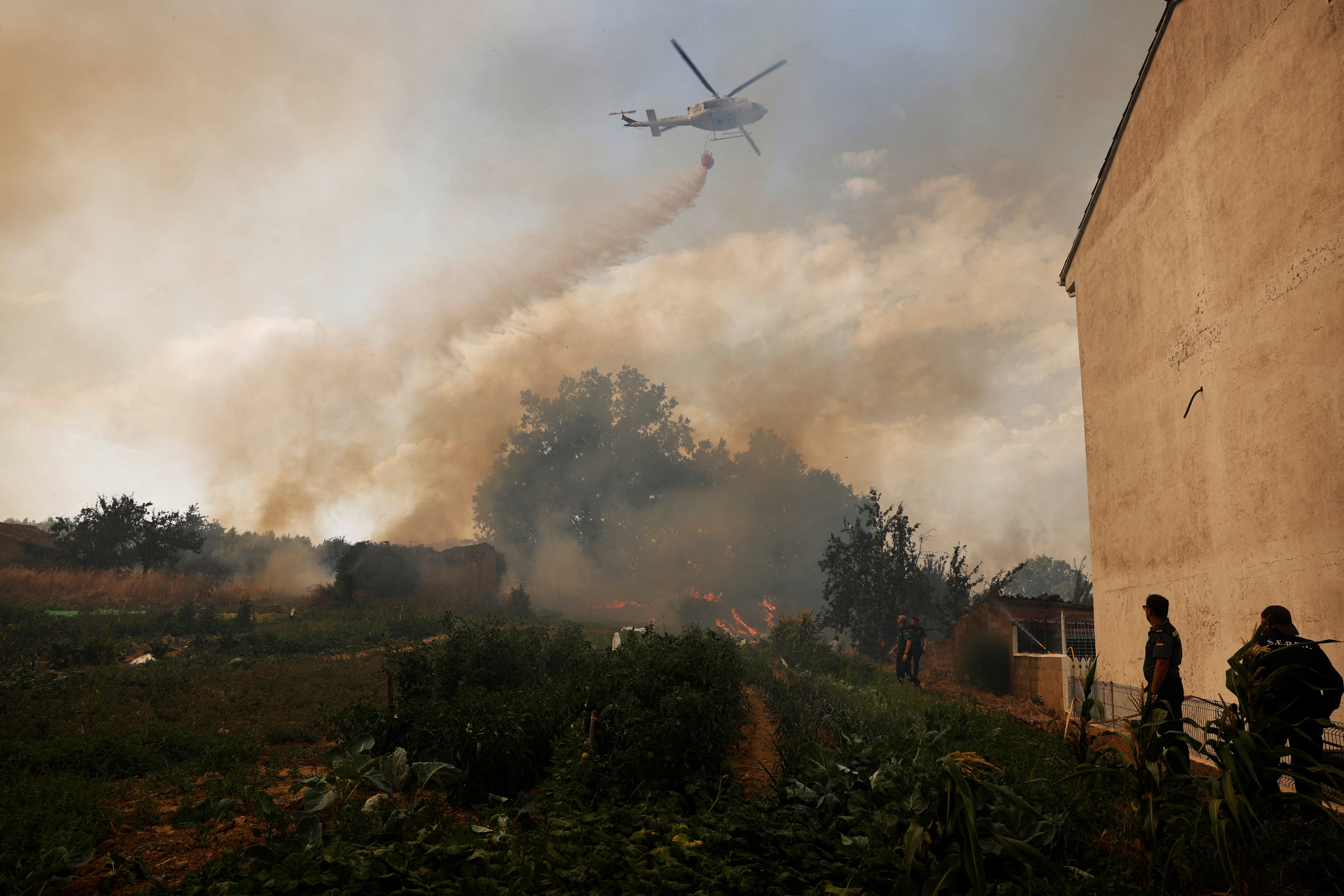 Wildfire in Congosta