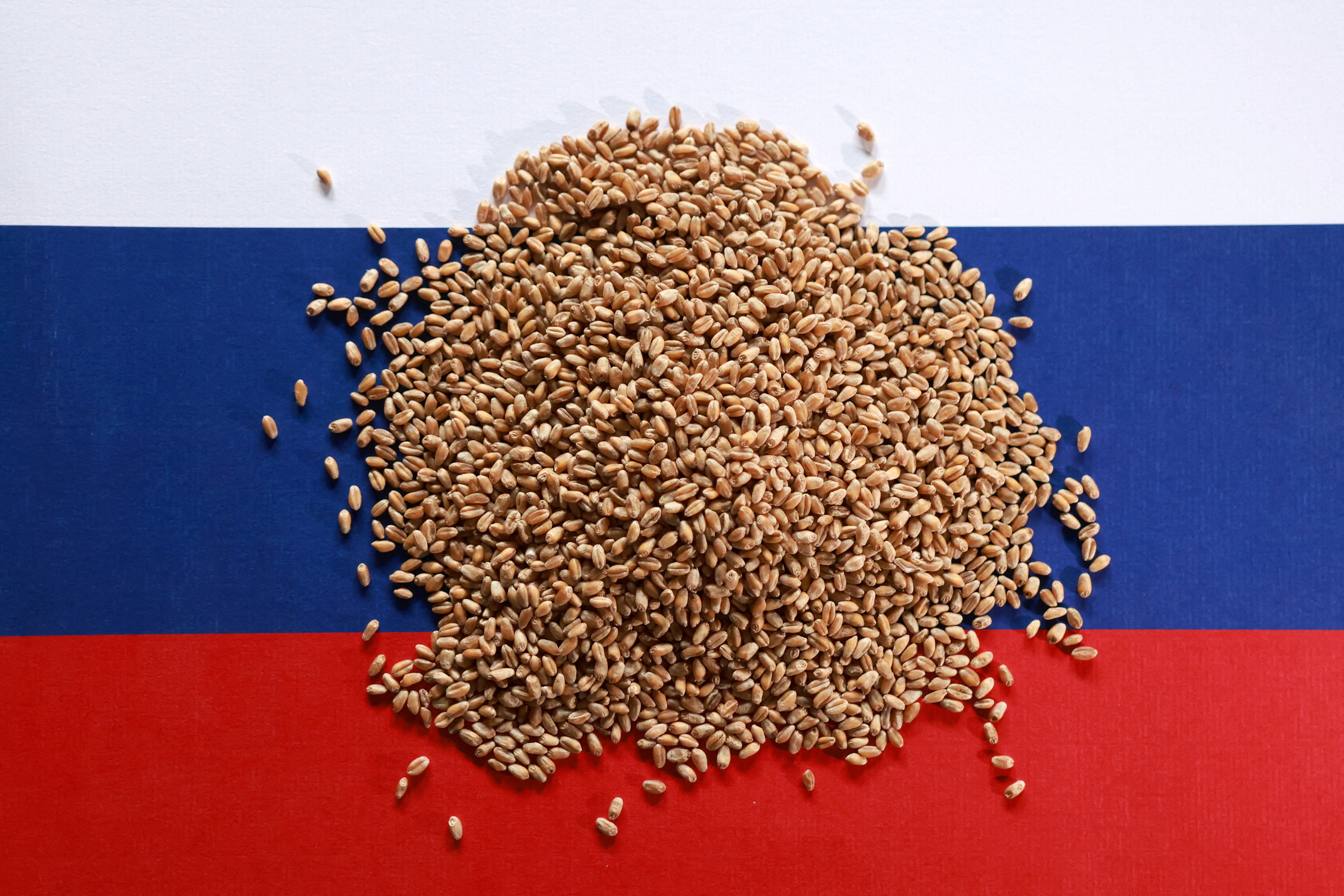 FILE PHOTO: Illustration shows Russian flag and wheat grains