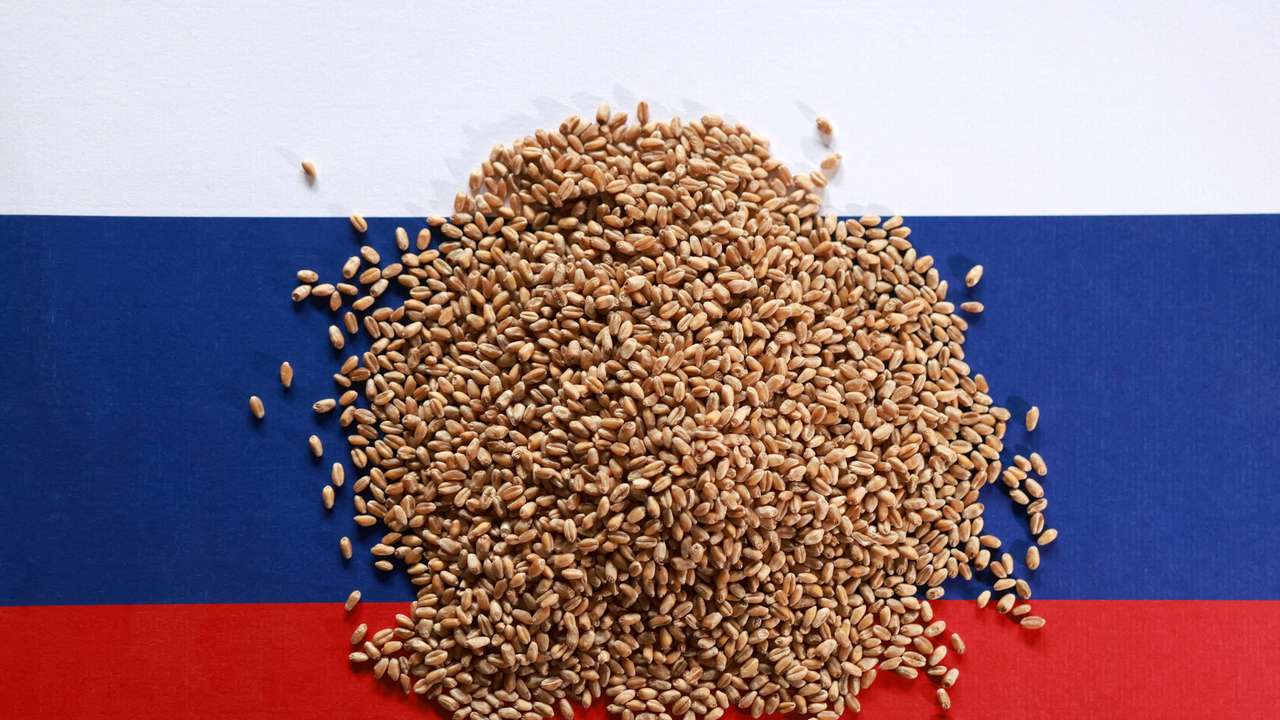FILE PHOTO: Illustration shows Russian flag and wheat grains