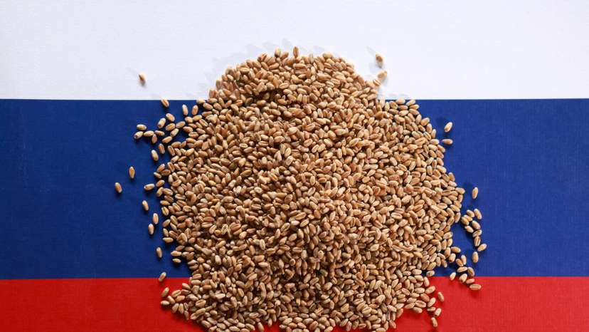 FILE PHOTO: Illustration shows Russian flag and wheat grains