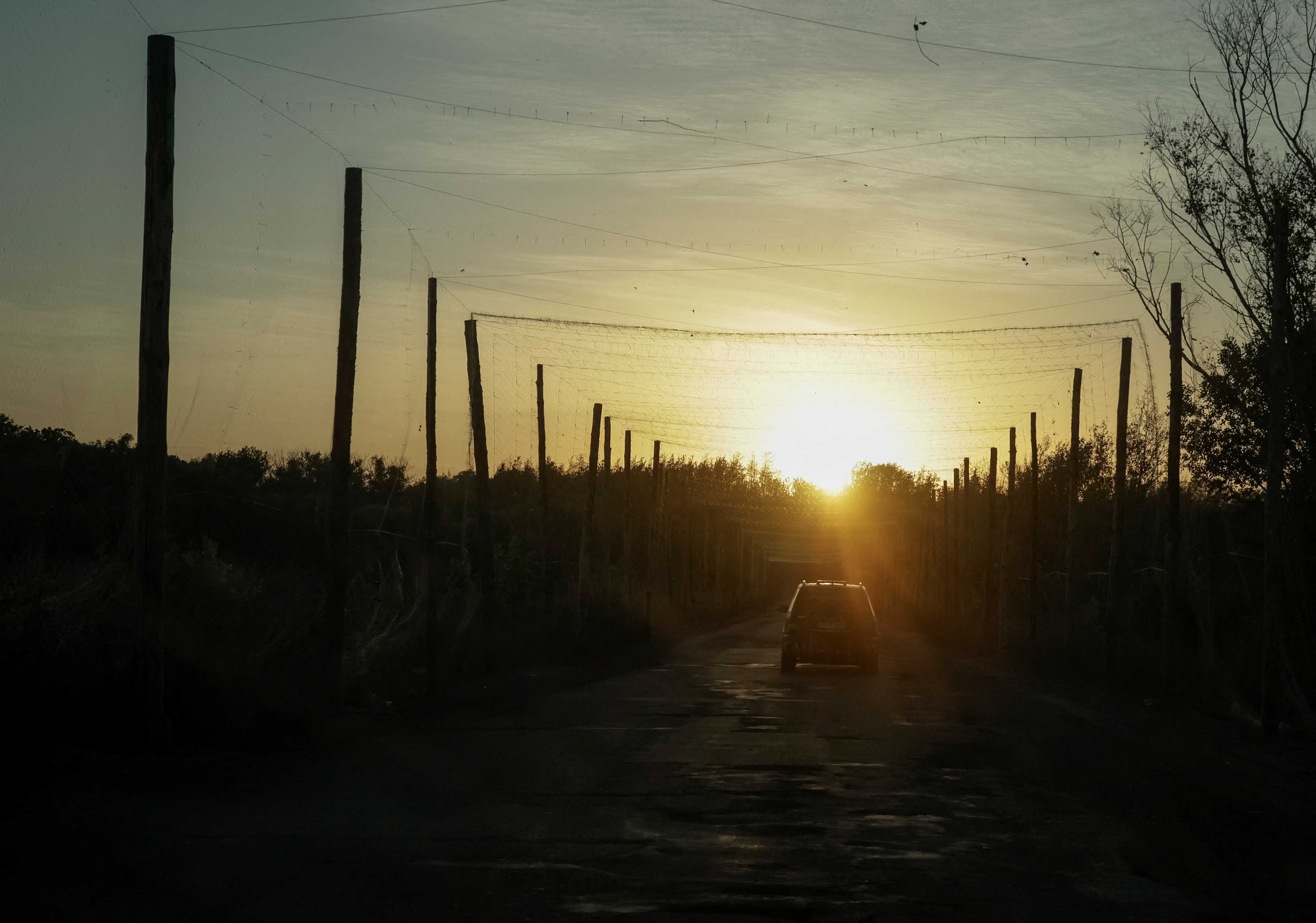 A car drives along a road covered with anti-drone net near the frontline town of Kupiansk