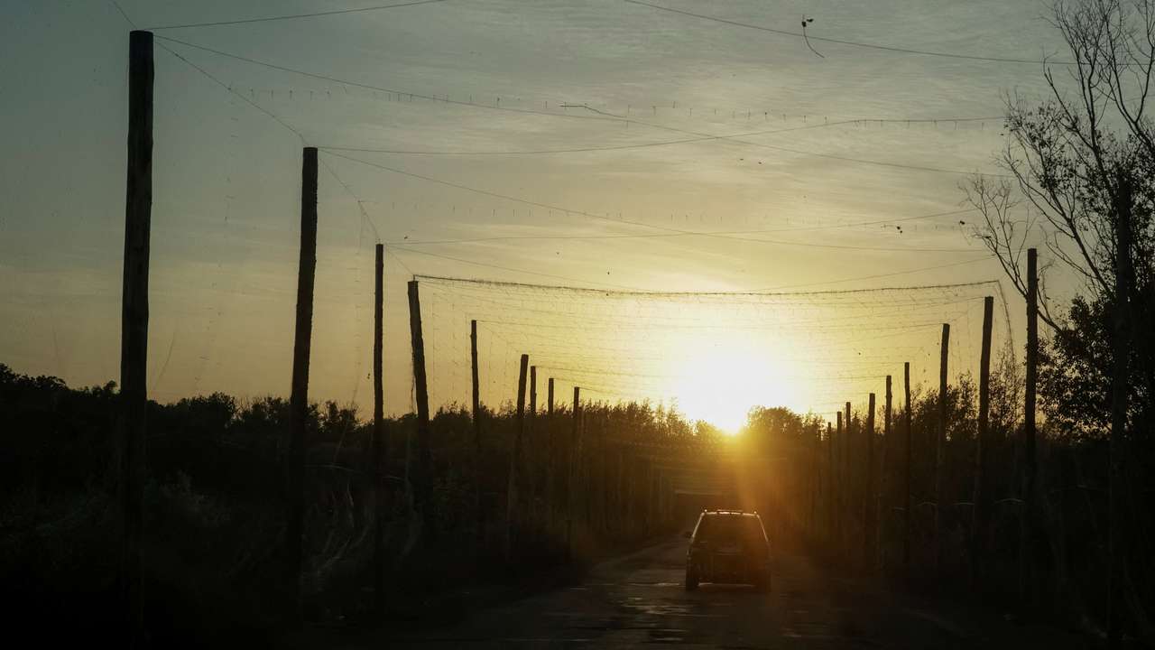 A car drives along a road covered with anti-drone net near the frontline town of Kupiansk