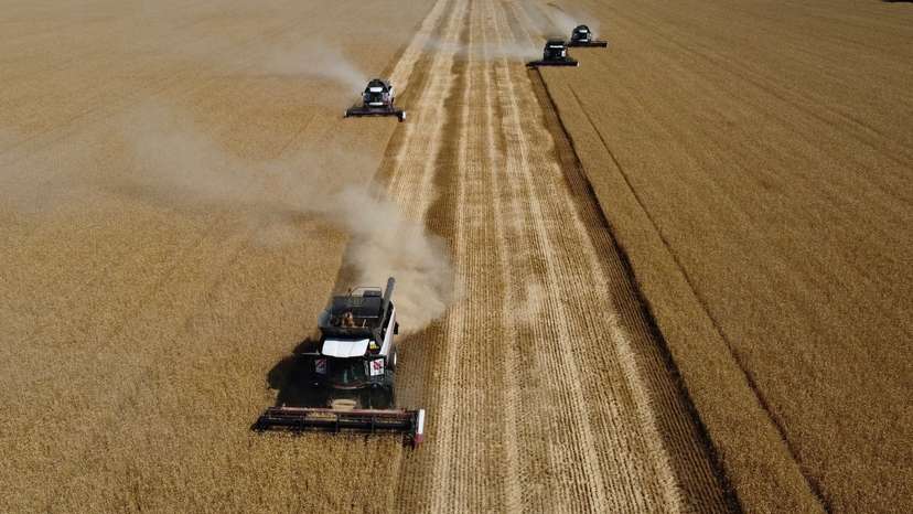 FILE PHOTO: Wheat harvest in Russia's Rostov Region