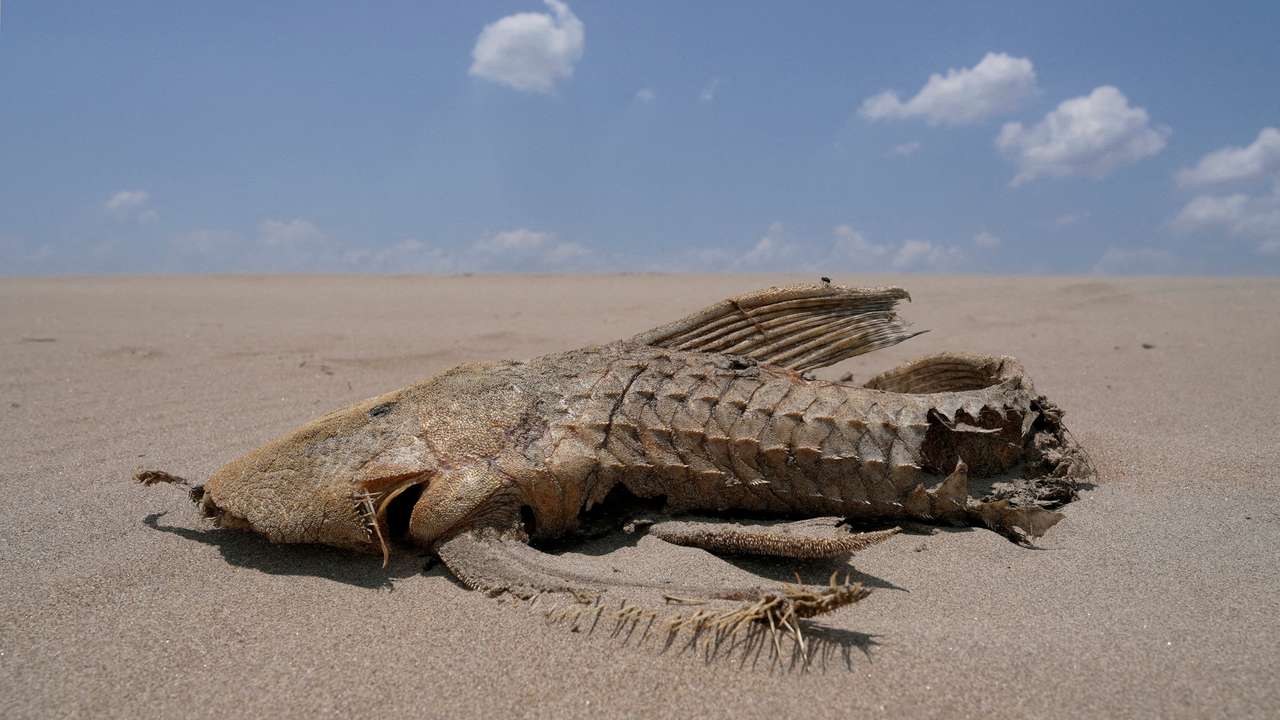 FILE PHOTO: Severe drought hits Amazon rivers