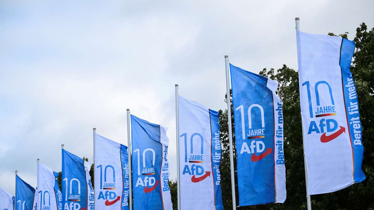 Alternative for Germany (AfD) party convention in Magdeburg
