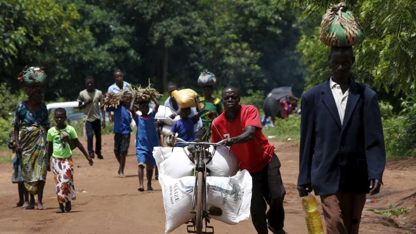 A Malawian man transports food aid distributed by the United Nations World Food Progamme (WFP) through maize fields in Mzumazi village