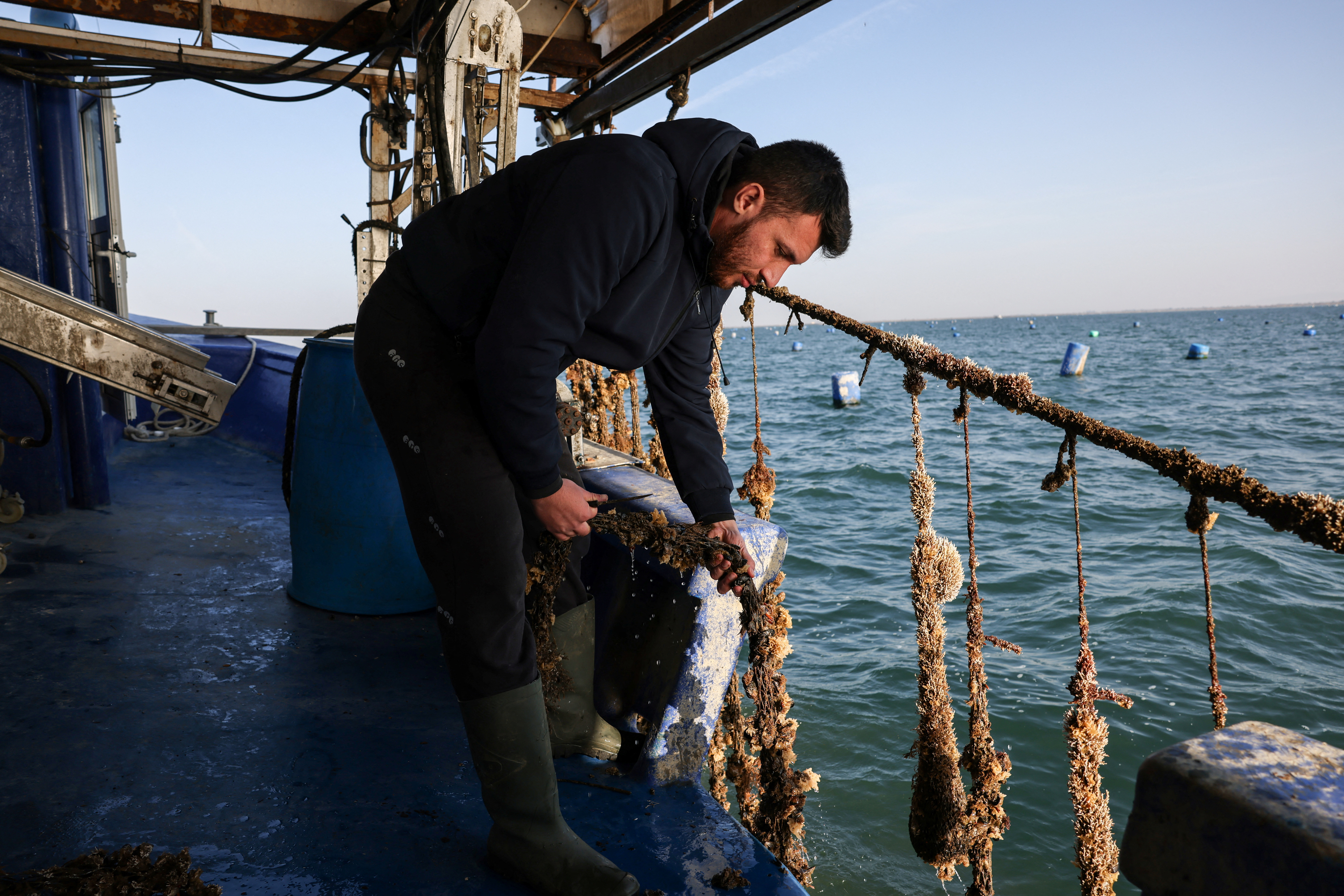 Mussel farmers confront the devastating effects of climate change, in Greece