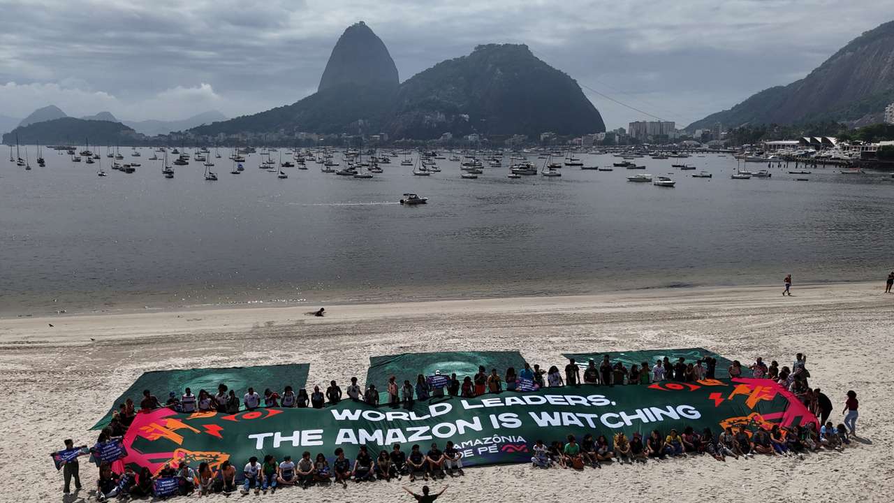 Activists of "Amazonia de Pe"organization during a demonstration in Rio de Janeiro