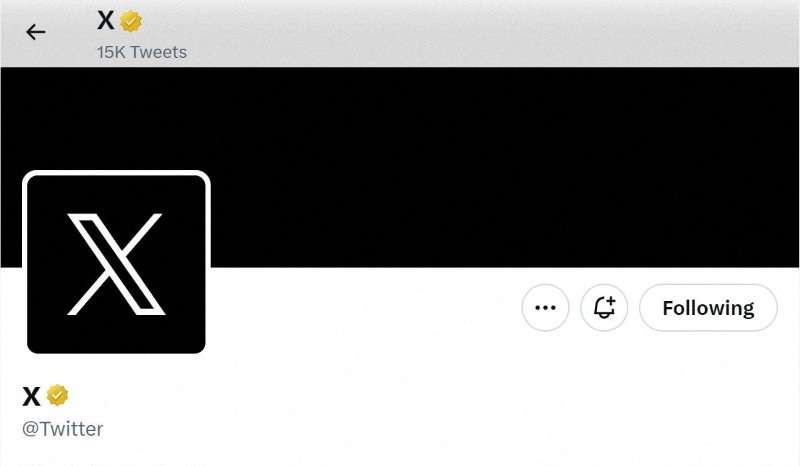 FILE PHOTO: Logo of X, formerly known as Twitter