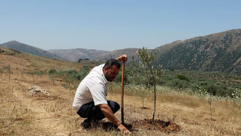 Lebanese farmer Zakaria Farah attends an interview with Reuters in Qlayaa
