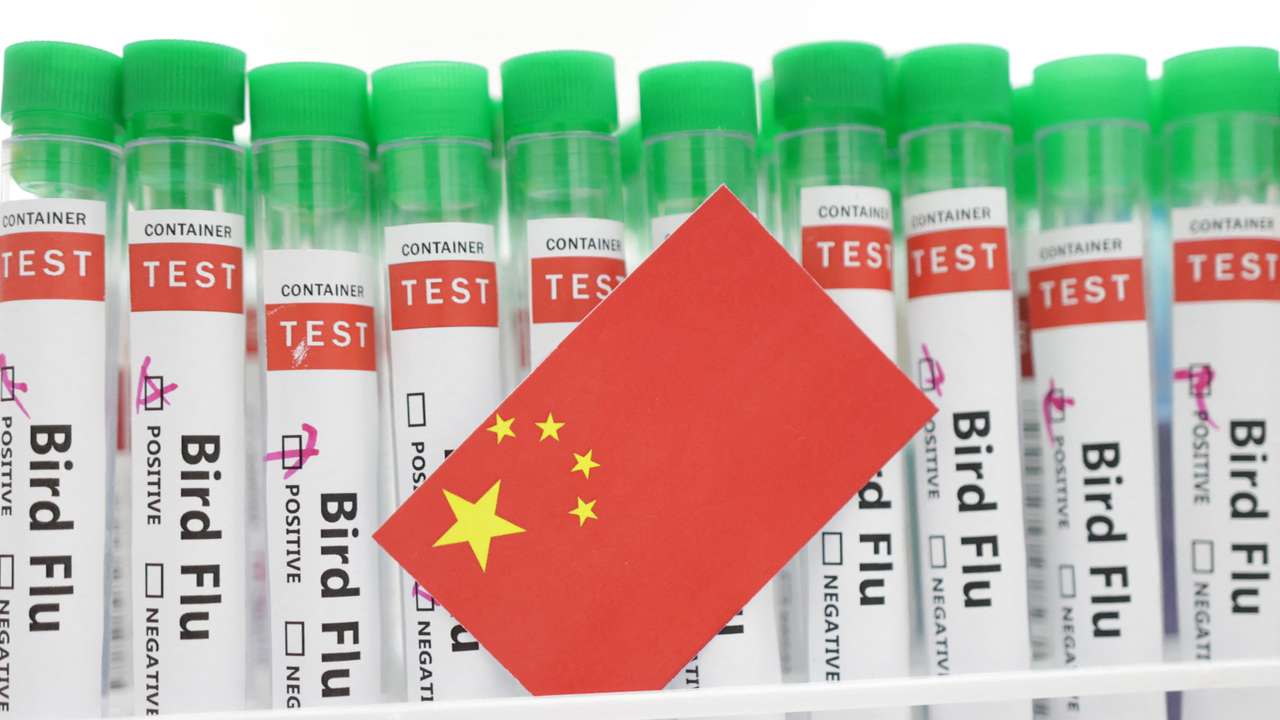 Illustration shows test tubes labelled "Bird Flu" and China flag