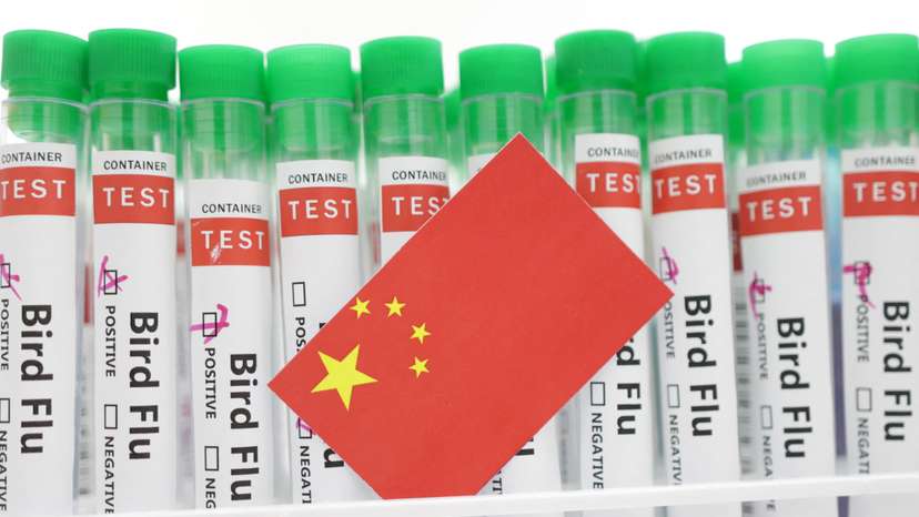 Illustration shows test tubes labelled "Bird Flu" and China flag