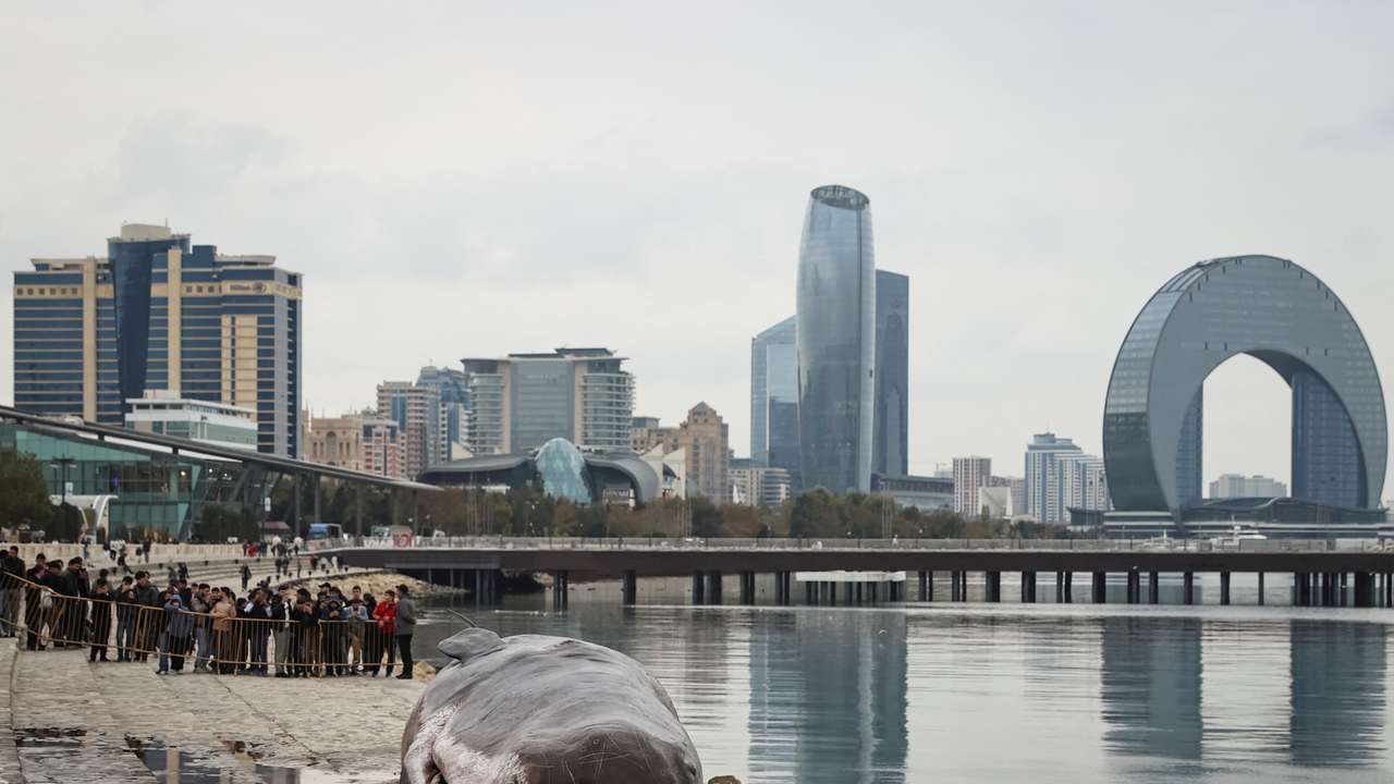A whale installation is displayed during the United Nations climate change conference COP29 in Baku