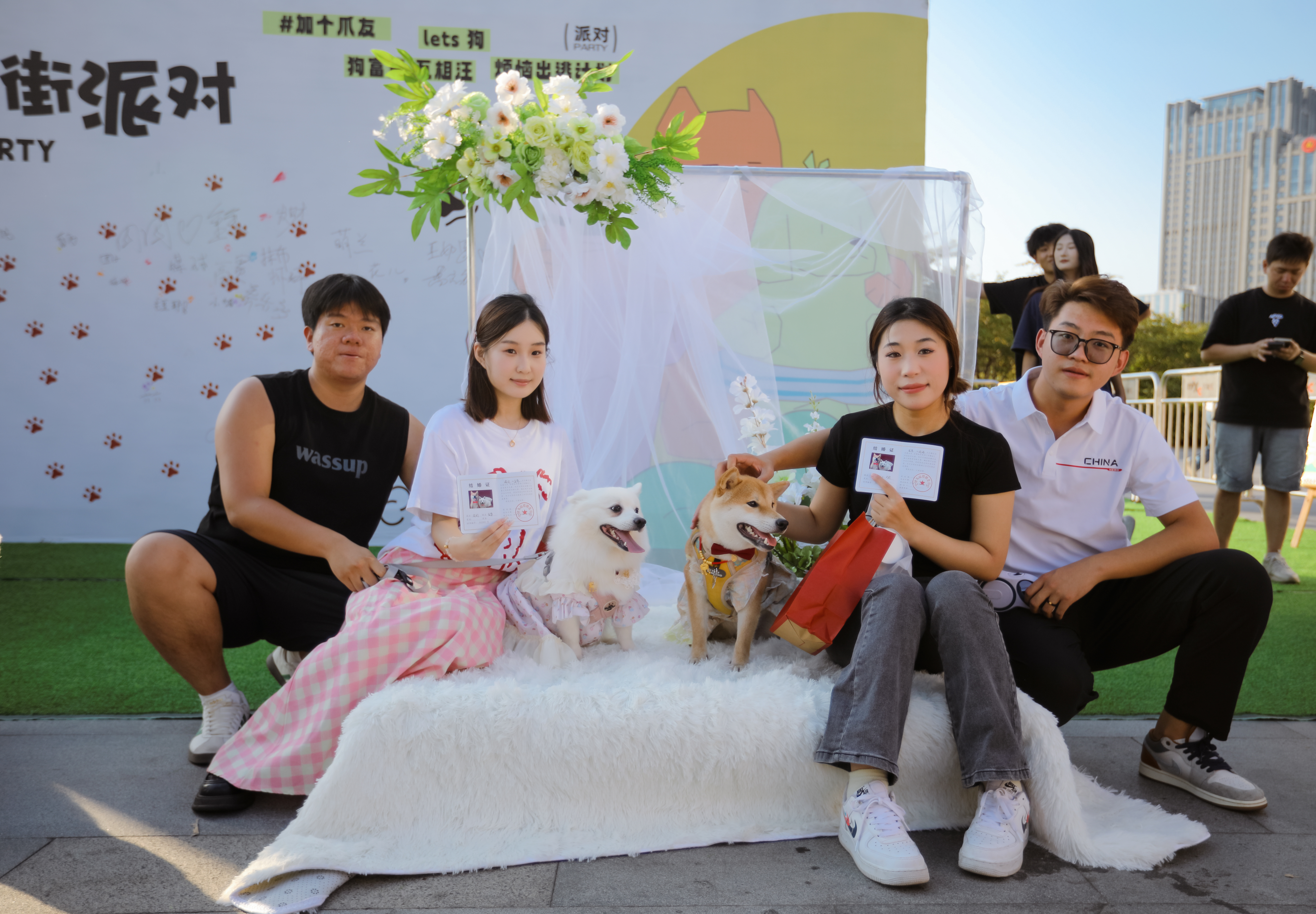 Collective Pet Wedding Takes Place In Rizhao