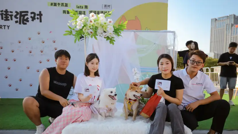 Collective Pet Wedding Takes Place In Rizhao