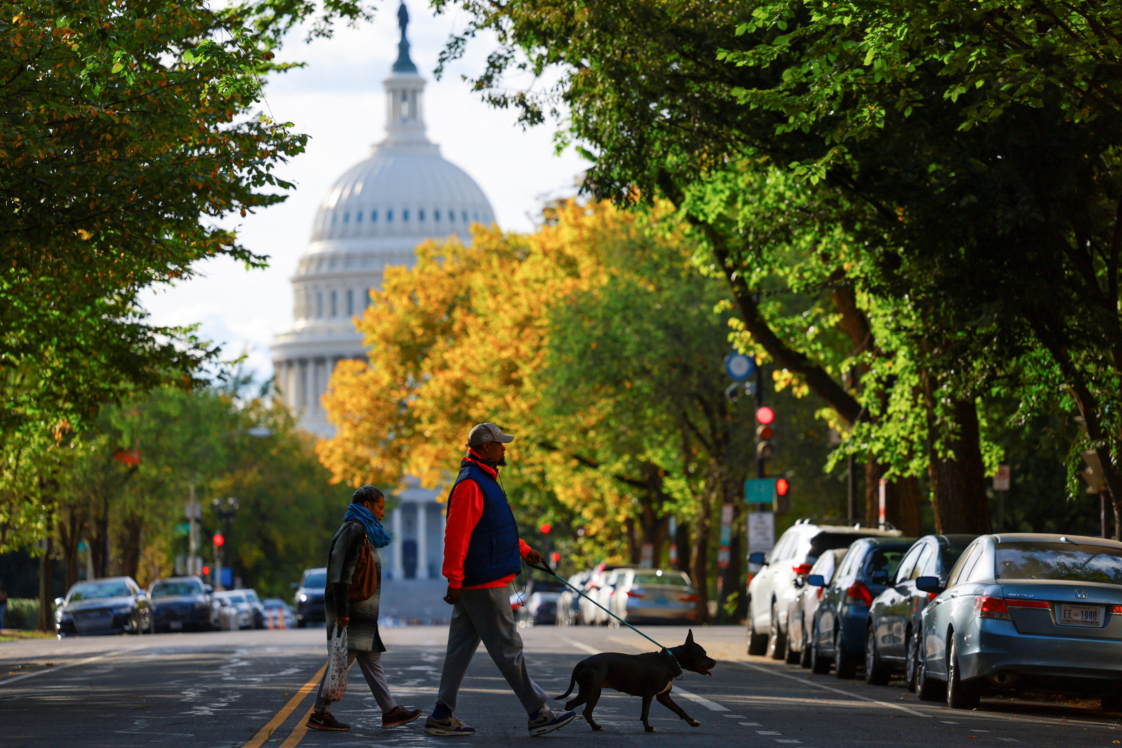 A couple walks with a dog near the U.S. Capitol building, in Washington