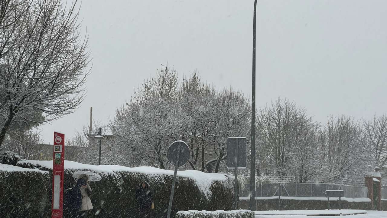 People wait for a bus in the snow as storm Kristin hits several parts of Spain and Portugal, in Galapagar