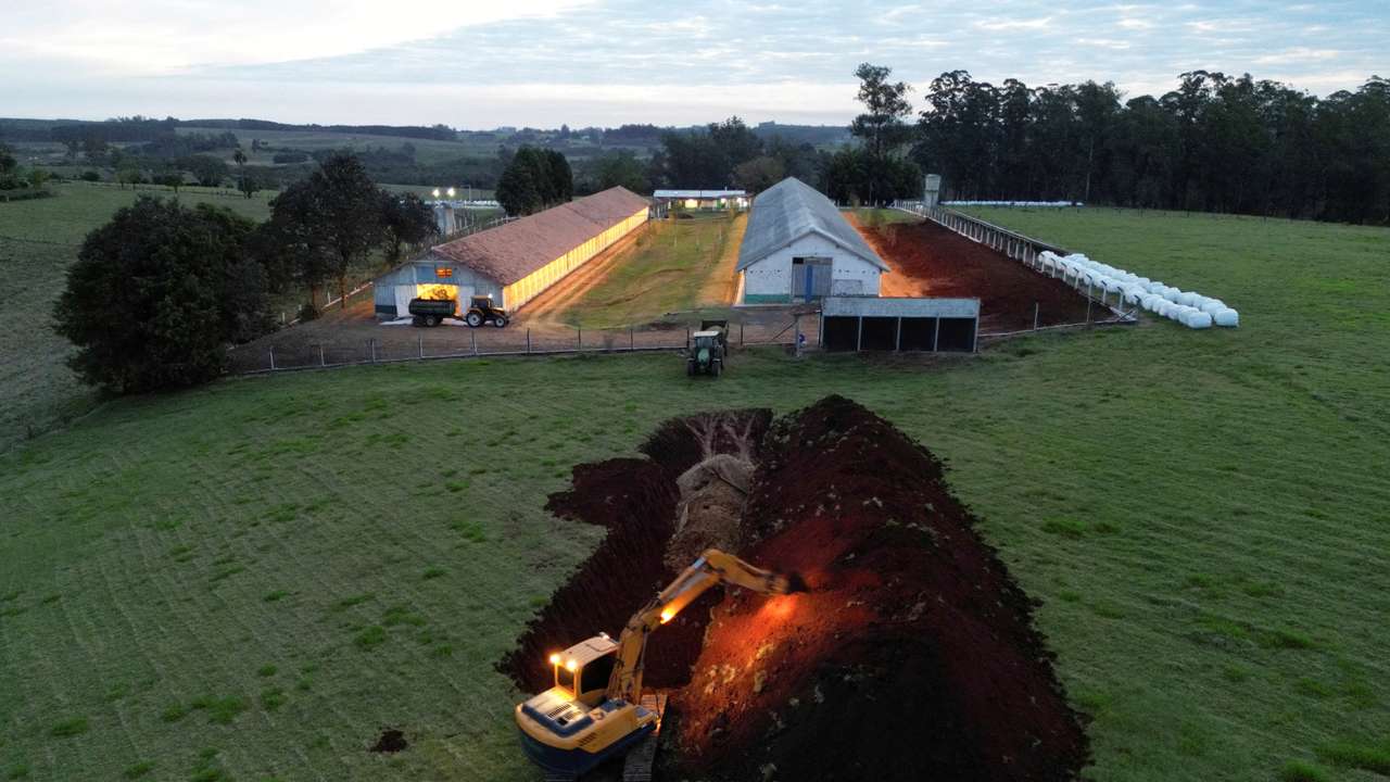 FILE PHOTO: Bird flu in top chicken exporter Brazil triggers trade bans