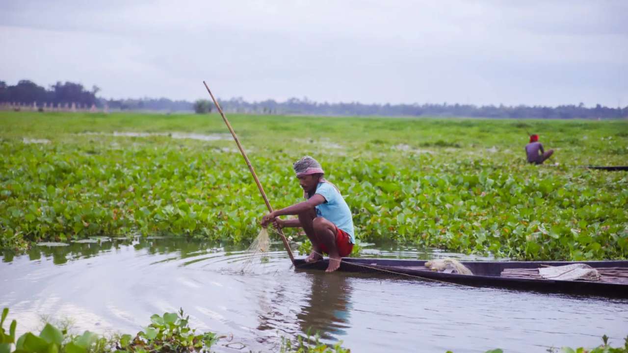 A fisherman in a pond