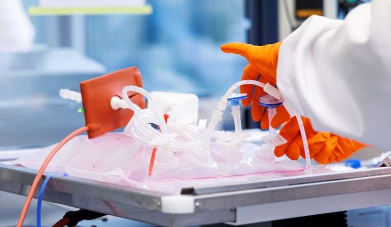 A laboratory of the vaccine company Bavarian Nordic, in Martinsried near Munich