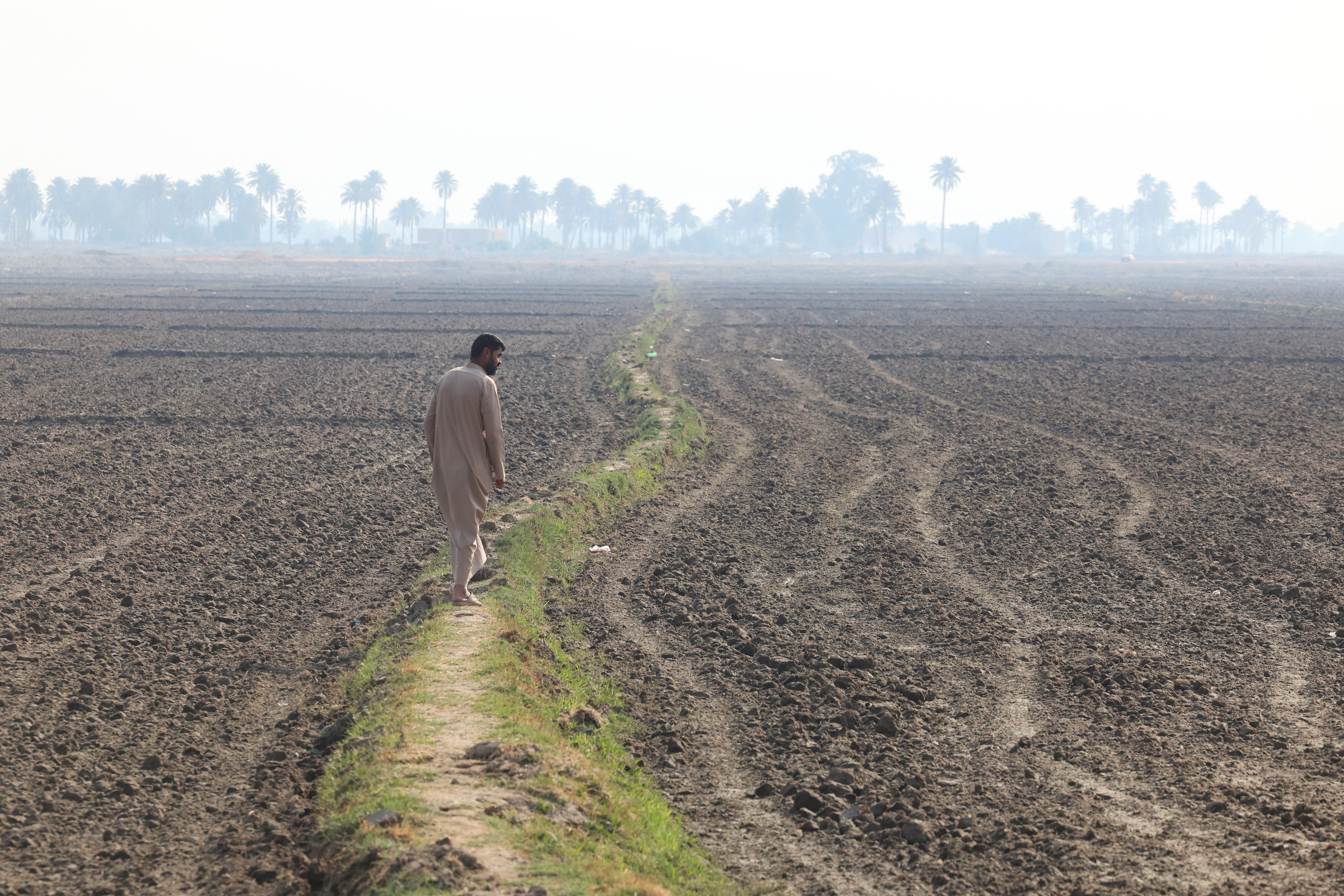 Iraq's wheat self-sufficiency shattered by drought and water shortages