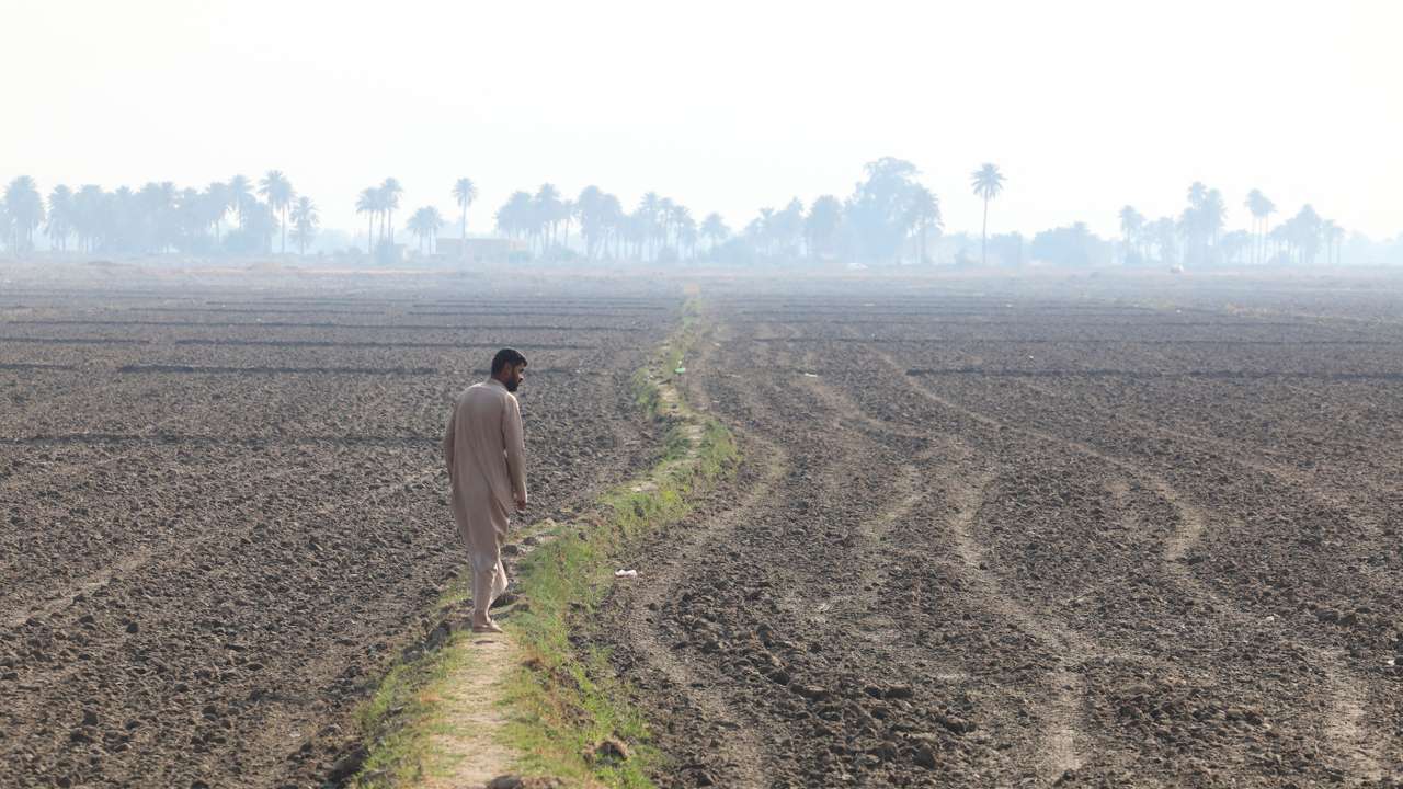 Iraq's wheat self-sufficiency shattered by drought and water shortages