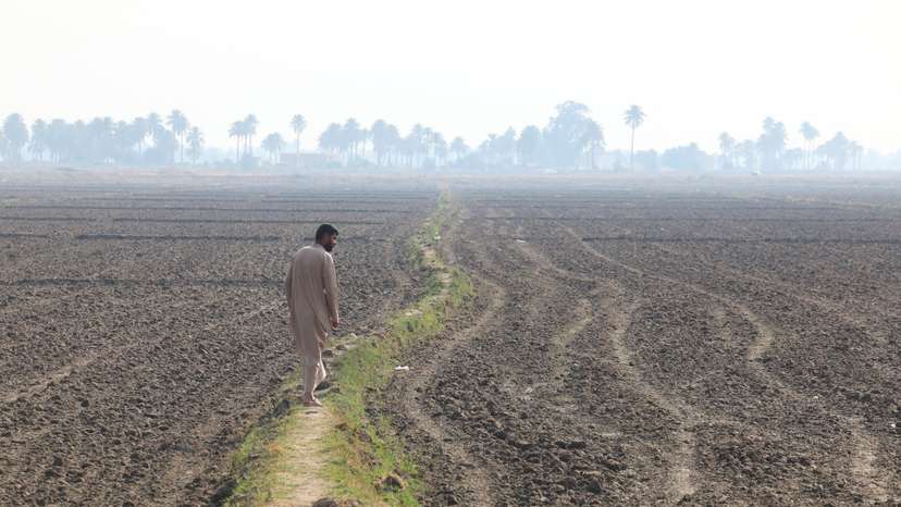 Iraq's wheat self-sufficiency shattered by drought and water shortages