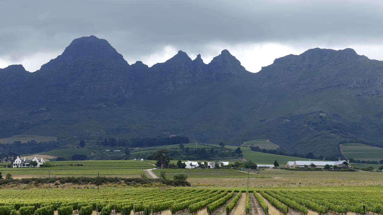 FILE PHOTO: Vineyards sit beneath hills at a farm near Stellenbosch, in the country's wine producing region, South Africa