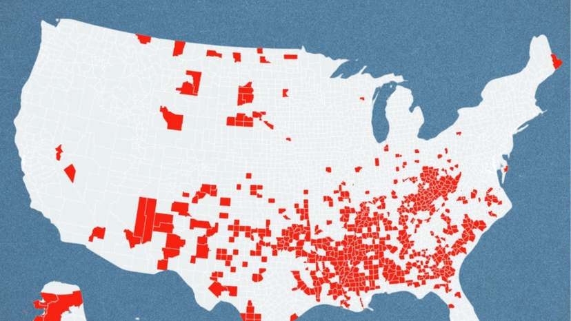 WhatsApp Image 2025-06-09 at 09.04.08