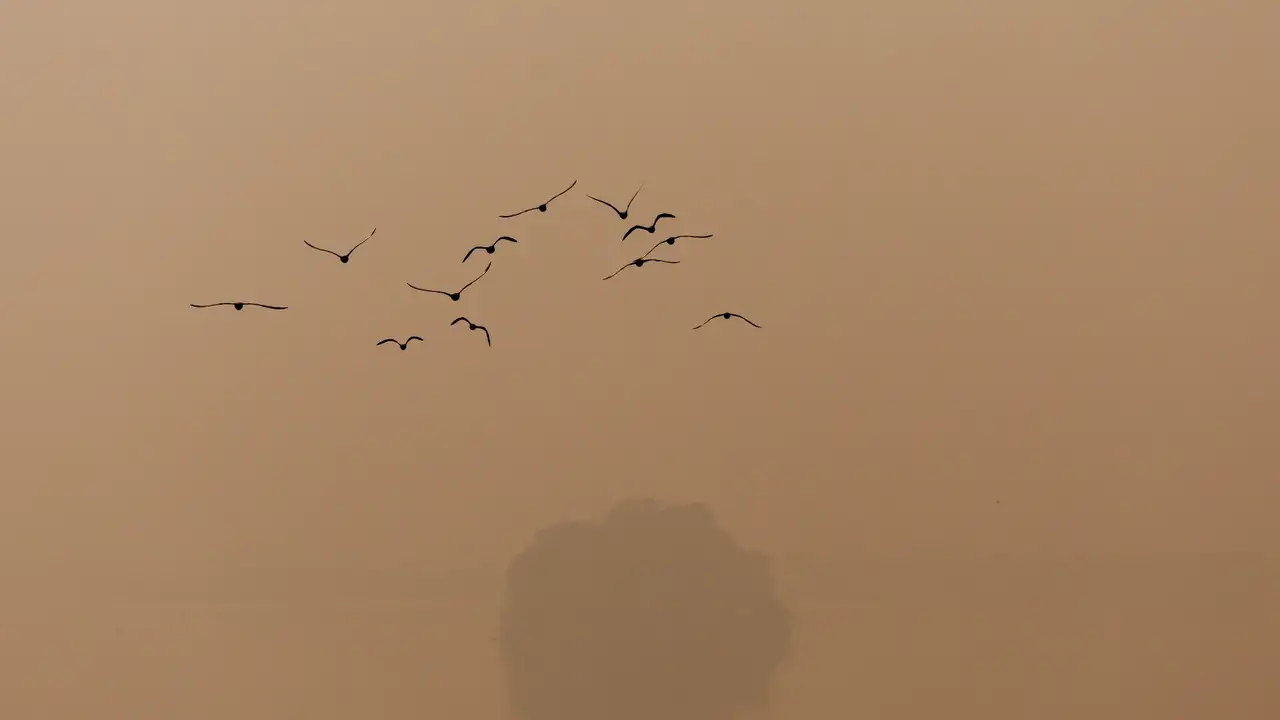 Air pollution in New Delhi