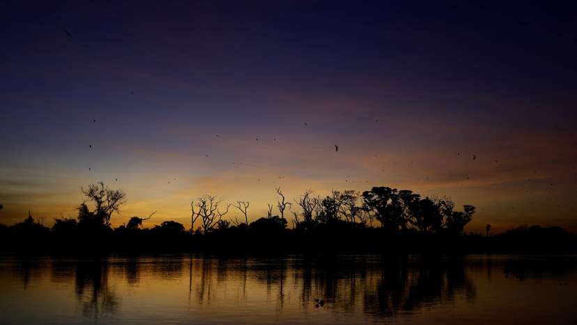 Brazil's tropical wetlands ablaze in massive fires