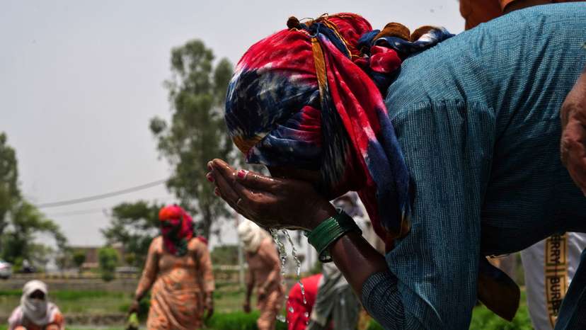 A farm labourer drinks water during a break amid work on a paddy field on a hot summer day in Karnal