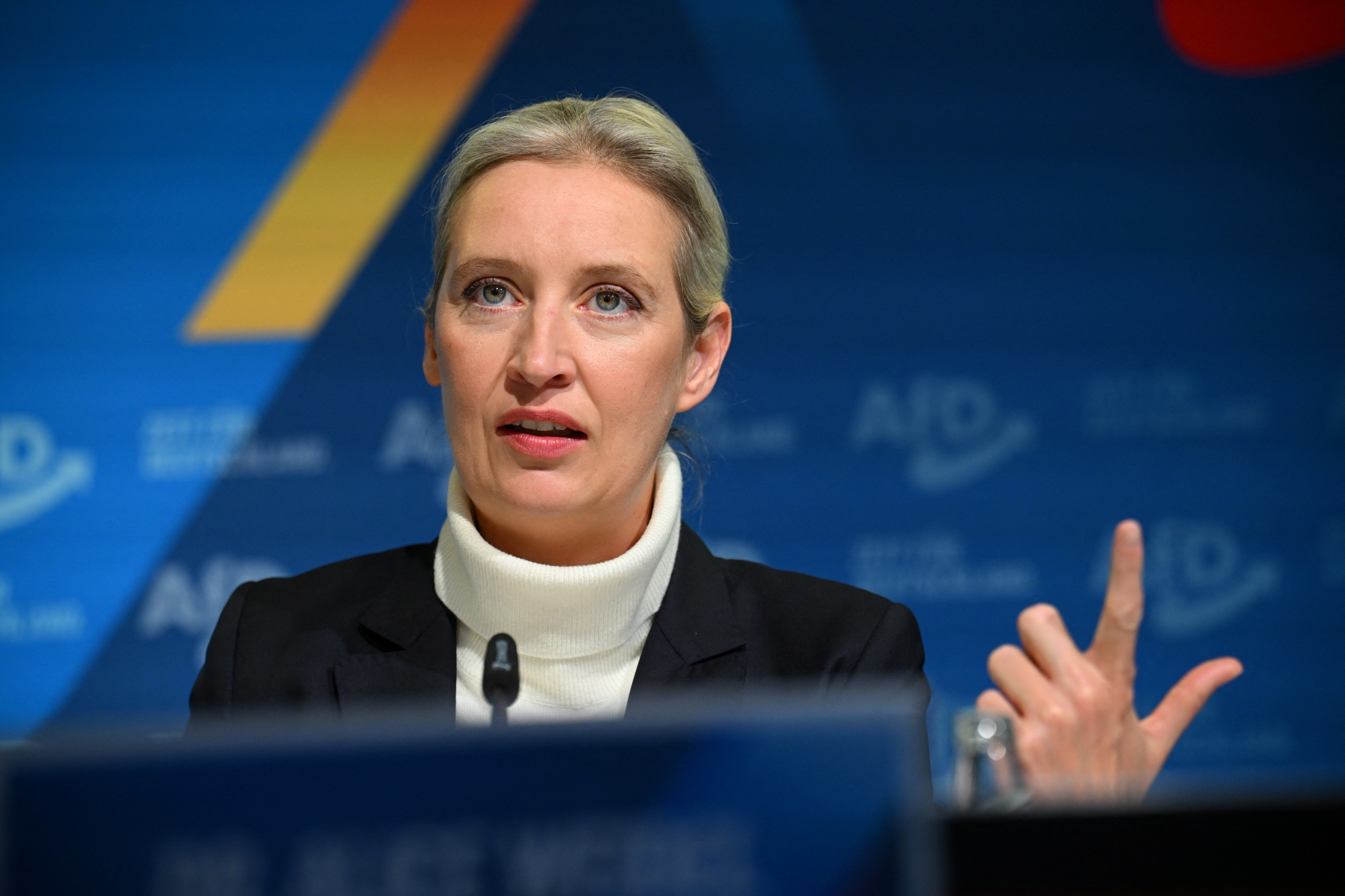 Germany’s far-right AfD party names Weidel as candidate for chancellor