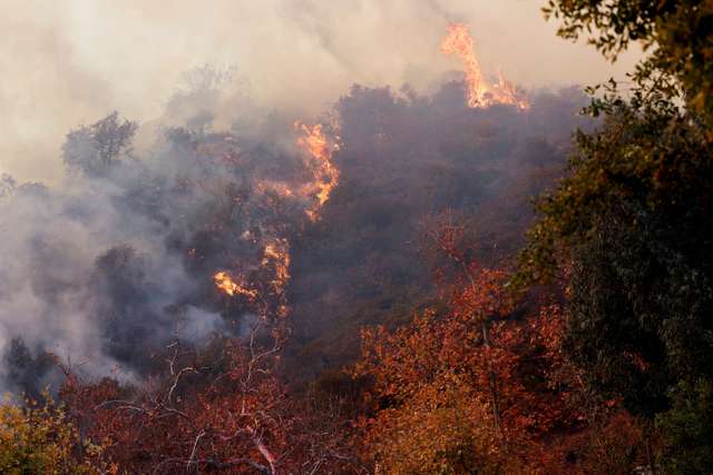 Palisades fire destroys homes in California