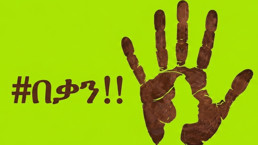 Ethiopia campaign calls for stronger action on violence against women
