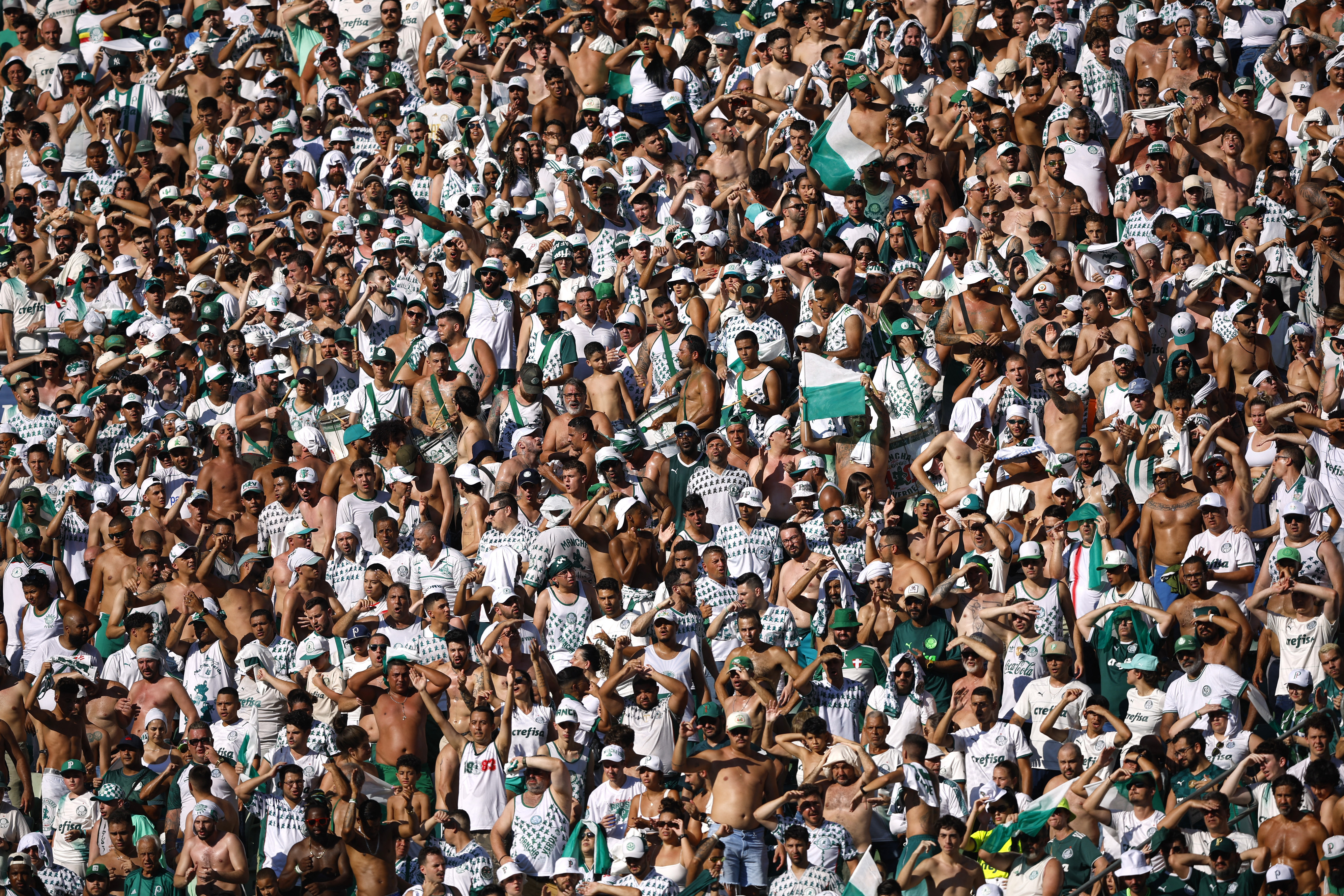 Brasileiro Championship - Palmeiras v Fluminense