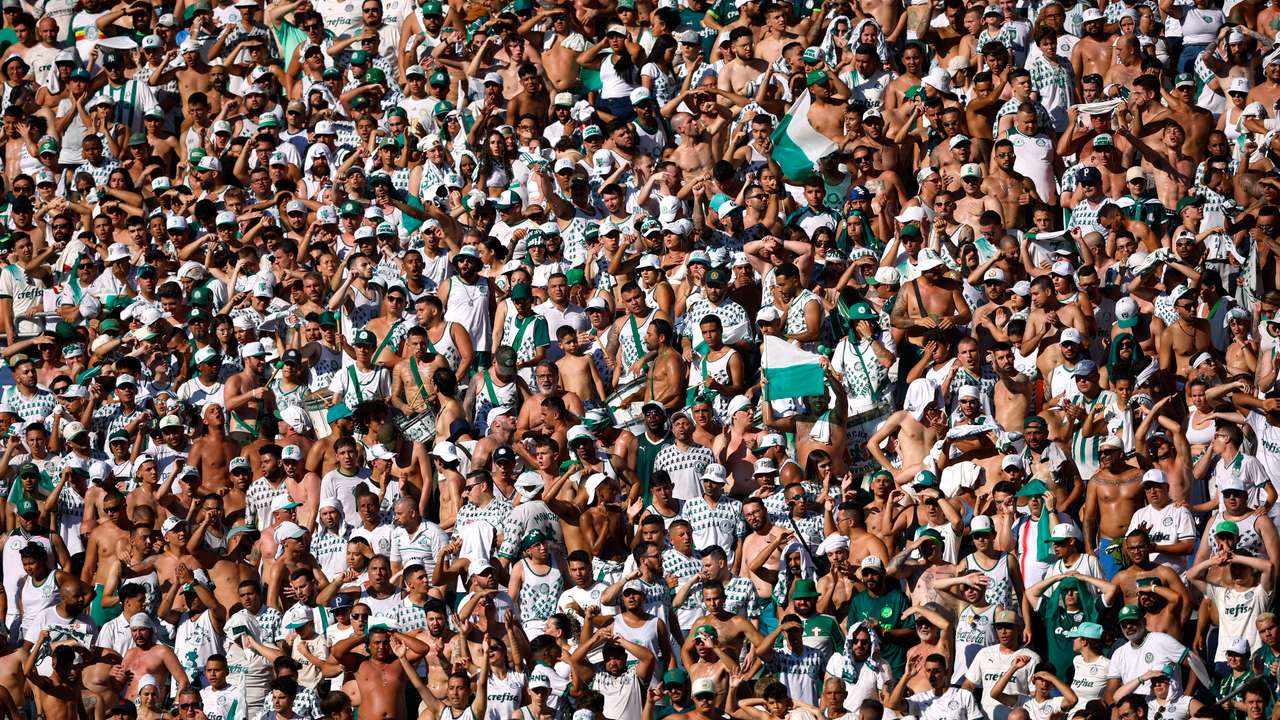 Brasileiro Championship - Palmeiras v Fluminense